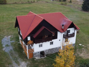 Steaua Apusenilor 5-bedroom cabin with hot tub